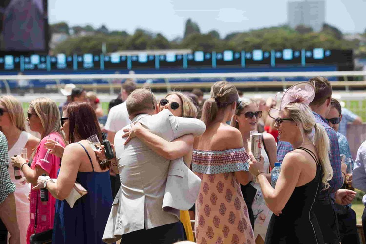 Boxing Day Races Auckland Eventfinda