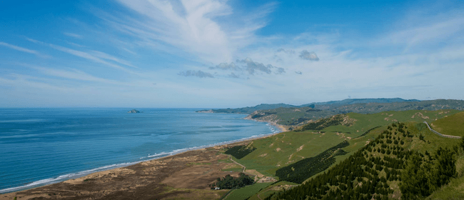 Parkinson's HB Sanctuary Charity Walk