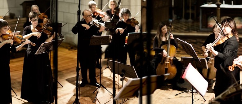 Splendour cello Clearance