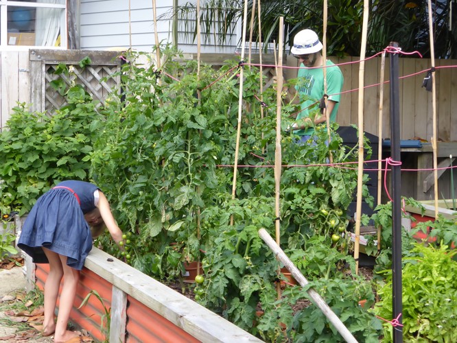 Matai Community Garden Party Kapiti Coast Eventfinda Matai Community Garden Party