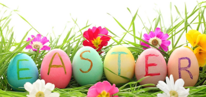 Easter Egg Hunt - Havelock North - Eventfinda