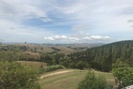 Ranui Farm Half Marathon 12k & 5k Trail Run