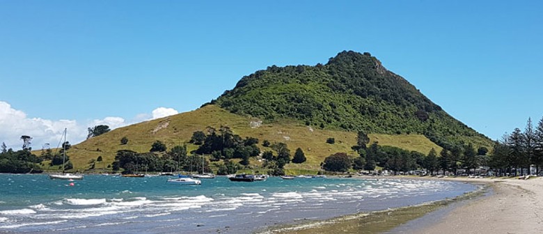 Image result for mt maunganui