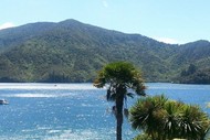 Image for event: Lochmara Lodge Half Marathon