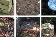 Home Composting for Beginners