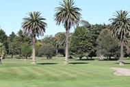 2018 NZ Mixed Foursomes Championship