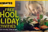 Animates Hastings - School Holiday Activities