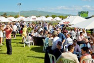 Bostock NZ Spring Racing Carnival - Livamol Classic