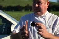 Truffle Hunt and Truffle Lunch