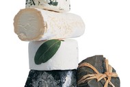 A Horizontal & Vertical Tasting