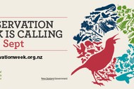 Puahanui Bush Annual Ivy Pulling