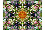 Image for event: Nature's Window Art Exhibit by Melissa-Jane Skehan