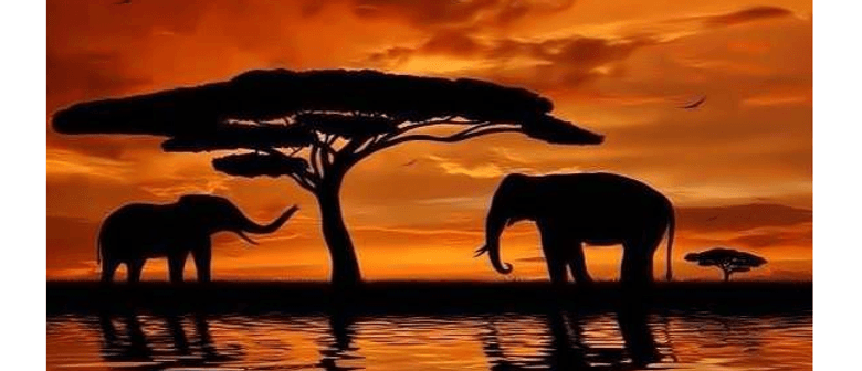 Wine And Paint Party African Sunset Painting Auckland Eventfinda
