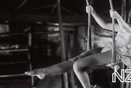 NZIFF - Wings of Desire