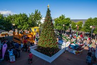 Image for event: Christmas Festival