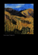 Fiordland Arts Society - Multi Media Art Exhibition