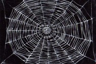 Image for event: Port Marlborough Pavilion Childrens Halloween Party
