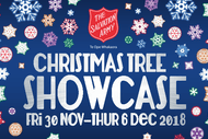 Christmas Tree Showcase Napier