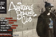 Avantdale Bowling Club NZ Tour