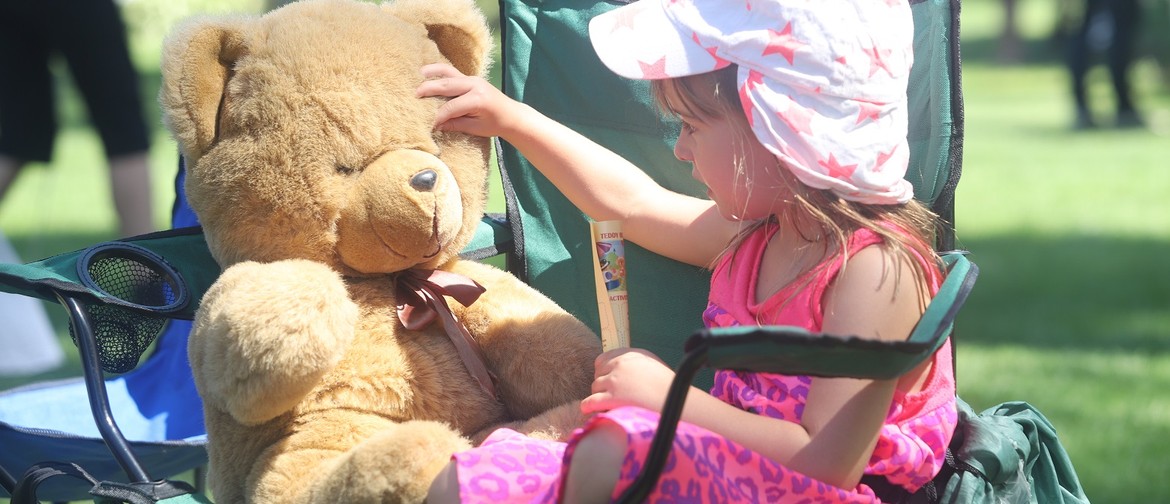 Teddy Bears' Picnic Teddy Bears' Picnic