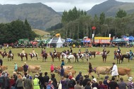 Image for event: Golden Bay A&P Show