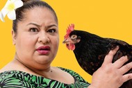 HBAF 2018 - Still Life With Chickens