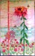 The Great New Zealand Quilt Show