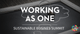 Working as One - Sustainable Business Summit