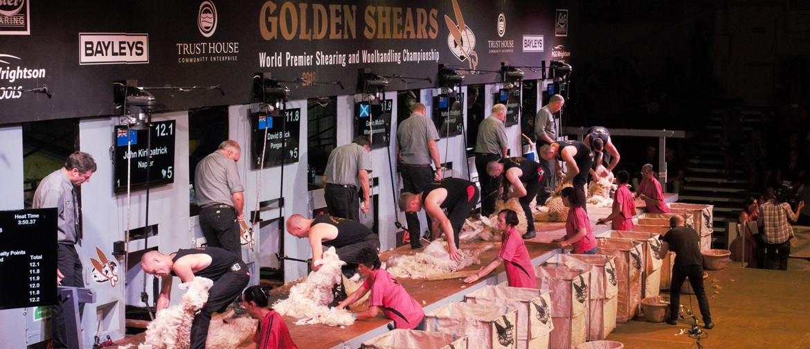 Golden Shears 2019