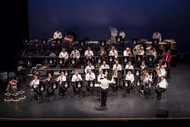 The Navy Band In Concert