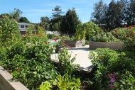 Image for event: Garden Insects Workshop