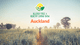 Auckland Allergy Free & Healthy Living Show 2019