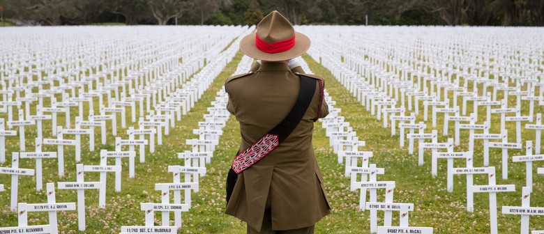 Lone Bugler at Armistice Field of Remembrance