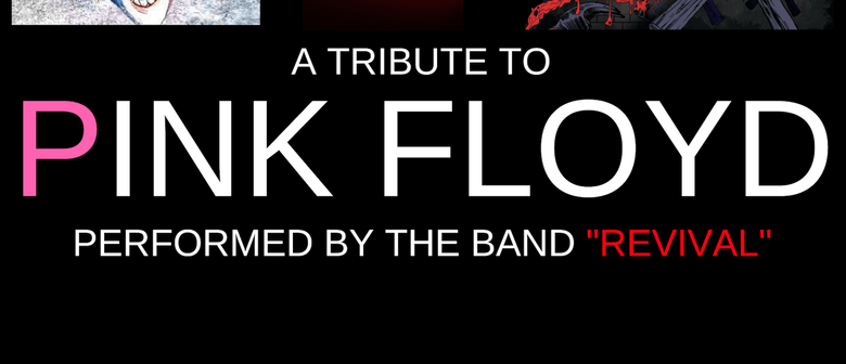 Comfortably Numb New Zealand S Premiere Pink Floyd Tribute