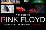 Comfortably Numb New Zealand’S Premiere Pink Floyd Tribute