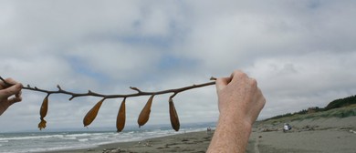 Seascape Eco Print Workshop