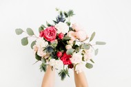 Hawke's Bay Pop-up Weddings