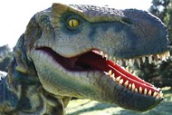 DinoFest Hawkes Bay