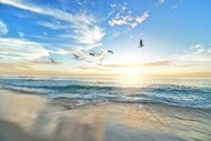Image for event: Waves of Connection: A 5Rhythms Workshop with Lynne Adams
