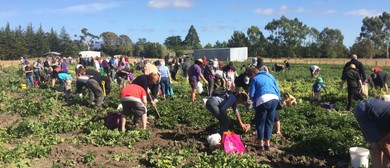 Sefton Christmas Harvest Market