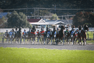 Image for event: Twilight Trots