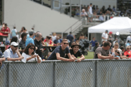 Image for event: Interislander Summer Festival Trots - Family Fun Day