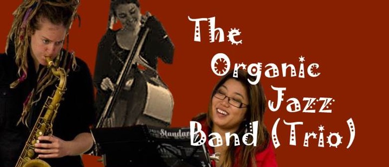 The Organic Jazz Band (Trio)