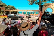 Art Deco Magnum Walk - ADF19