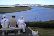 Harbour Views Coach and Walking Tour - ADF19