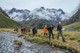 Discover the Alpine World