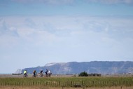 Summer Cycling Carnival - Bay Espresso Winery Fun Ride