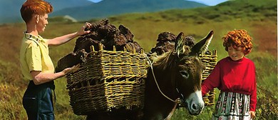 Mary Bourke: I Can Make You Irish!
