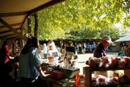 Black Barn Waitangi Day Growers' Market