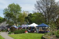 Image for event: The Greytown Country Market
